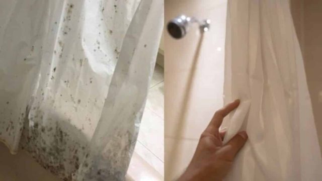 Μούχλιασε η κουρτίνα του μπάνιου; Το εύκολο κόλπο για να εξαφανίσετε τις βρομιές ανέξοδα