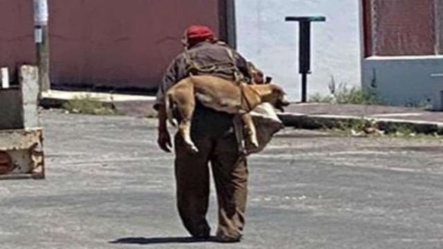 Κάμερα κατέγραψε ηλικιωμένο άνδρα να κουβαλάει το σκύλο στην πλάτη του – Ο λόγος ραγίζει καρδιές