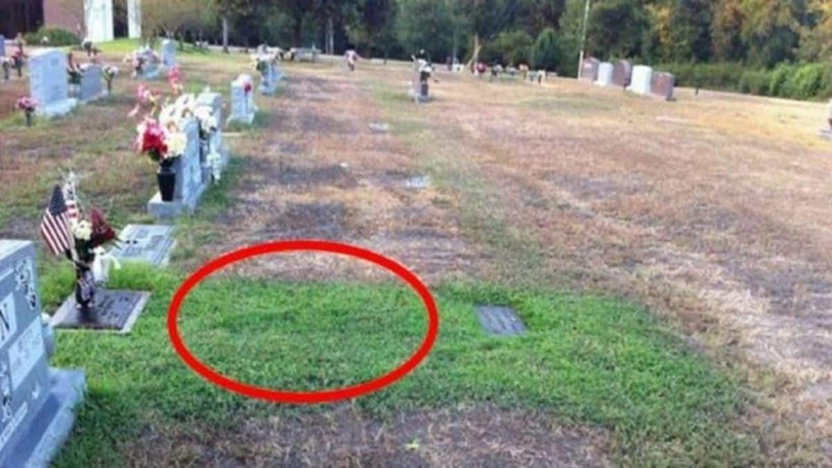 Αυτή η μάνα απορούσε χρόνια γιατί ο τάφος του γιου της είναι πράσινος – Όταν έμαθε την αλήθεια της πάγωσε το αίμα!