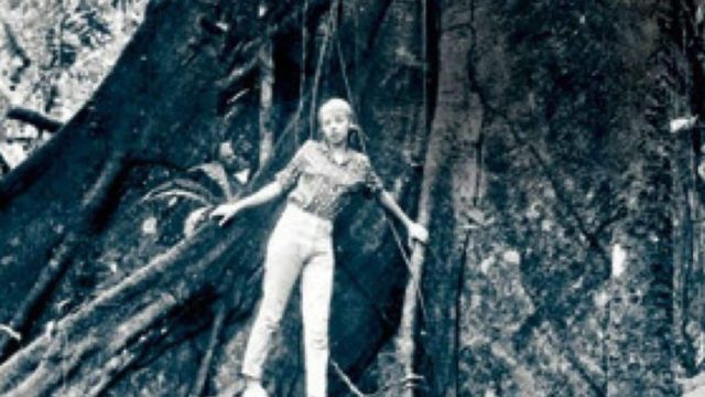 Το 1971, αυτή η 17χρονη έπεσε στην ζούγκλα από αεροπλάνο που πετούσε στα 10.000 πόδια. Δεν φαντάζεστε τι κάνει σήμερα!