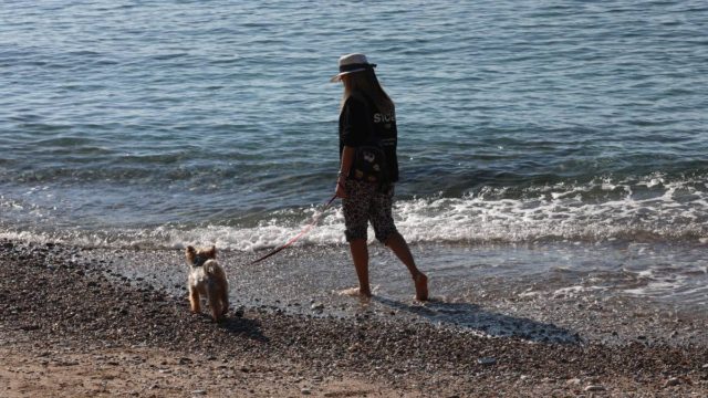 Η φωτογραφία της ημέρας: Γιορτινές βόλτες… στην παραλία