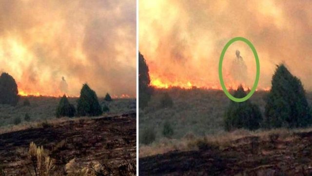 Κοιτούσαν αποσβολωμένοι την φωτιά να καταστρέφει το σπίτι τους. Αυτό που βγήκε μέσα από τις φλόγες τους έκανε να παγώσουν!