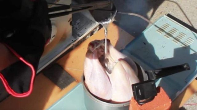 Βάζουν μια γαλοπούλα στον κουβά και την γεμίζουν με αλουμίνιο! Το αποτέλεσμα; Απλά εξοργιστικό!