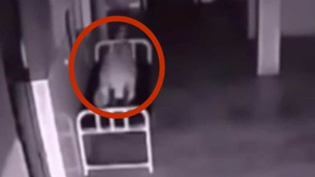 Μία γυναίκα πέθανε στο νοσοκομείο! Αυτό που κατέγραψε η κρυφή κάμερα ασφαλείας, θα σας ανατριχιάσει στην κυριολεξία!