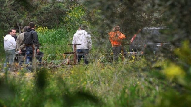 Σοκαριστική τραγωδία στην Λακωνία: Άνδρας καταπλακώθηκε από δέντρο και βρήκε ακαριαίο θάνατο