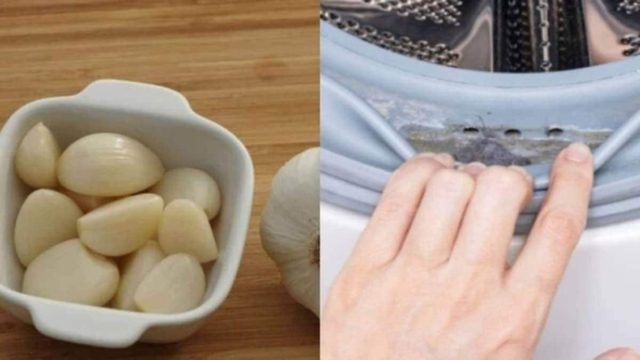 Οριστικό τέλος της μούχλας στο πλυντήριο ρούχων – Πώς το θαυματουργό την απομακρύνει για πάντα