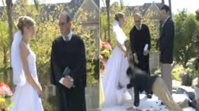 Κουμπάρος πάει να αλλάξει τις βέρες σε γάμο – Όταν πλησιάσει νύφη και γαμπρό θα συμβεί κάτι τρομακτικό! (video)