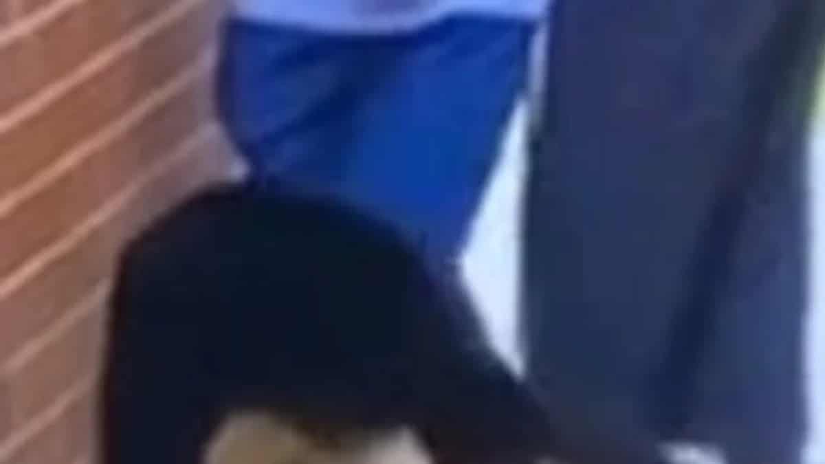 Απίστευτη οφθαλμαπάτη: Σκύλος περνά μέσα από… τοίχο – Το βίντεο που έγινε viral