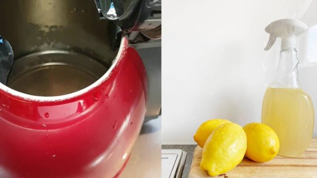 Καθαρισμός με ξύδι: Το κόλπο για να λάμψουν και πάλι οι οικιακές συσκευές