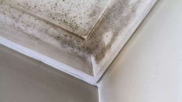 Υγρασία στο ταβάνι: Για να μην σας έρθει ο ουρανός “σφοντύλι” – Το κόλπο με μαγειρική σόδα και χυμό λεμονιού που θα σας σώσει