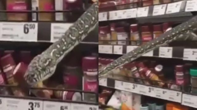 Πήγε να ψωνίσει μπαχαρικά από το super market – Όταν έφτασε στο ράφι “πάγωσε” με αυτό που αντίκρυσε