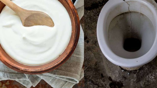Έριξε γιαούρτι στη λεκάνη της τουαλέτας και απαλλάχτηκε από ένα πολύ δύσκολο πρόβλημα