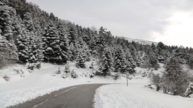 Η Φωτογραφία της Ημέρας: Τα Τρίκαλα ντυμένα στα “λευκά”