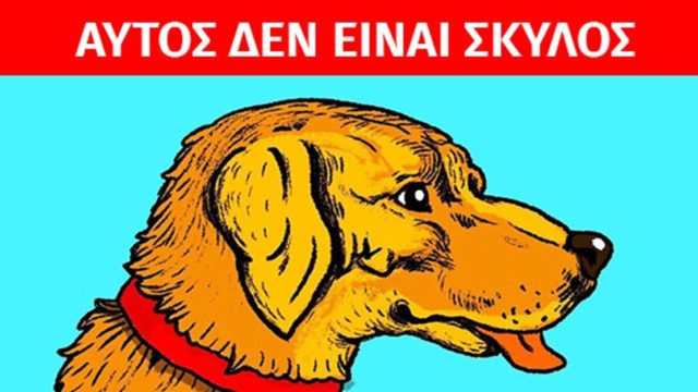 Οφθαλμαπάτη σκέτο «κάψιμο»: Αυτός ΔΕΝ είναι ένας σκύλος – Μπορείς να βρεις την κρυμμένη φιγούρα;