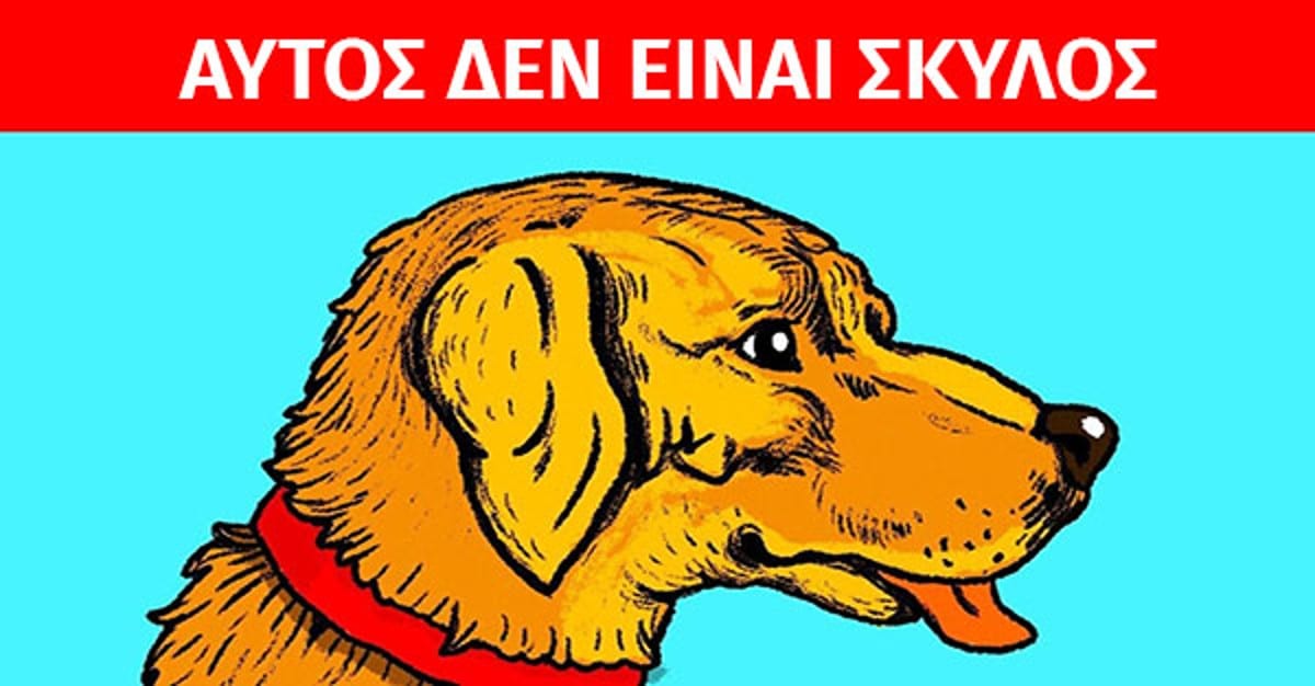 Οφθαλμαπάτη σκέτο «κάψιμο»: Αυτός ΔΕΝ είναι ένας σκύλος – Μπορείς να βρεις την κρυμμένη φιγούρα;