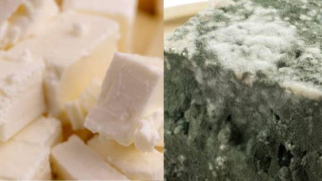 Αν παρατηρήσετε στη φέτα σας πράσινο χνούδι πετάξτε την αμέσως!