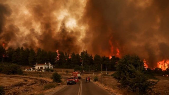 Συναγερμός στην Εύβοια: Μεγάλη φωτιά και κίνδυνος για τον υδροβιότοπο στα Ψαχνά