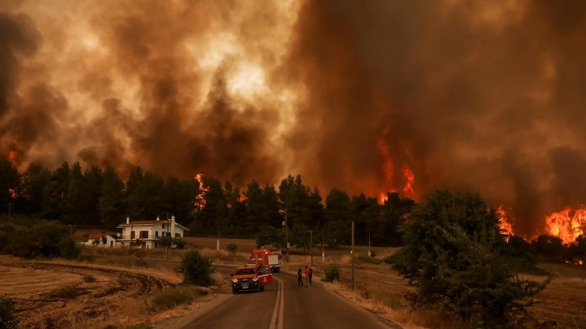 Συναγερμός στην Εύβοια: Μεγάλη φωτιά και κίνδυνος για τον υδροβιότοπο στα Ψαχνά