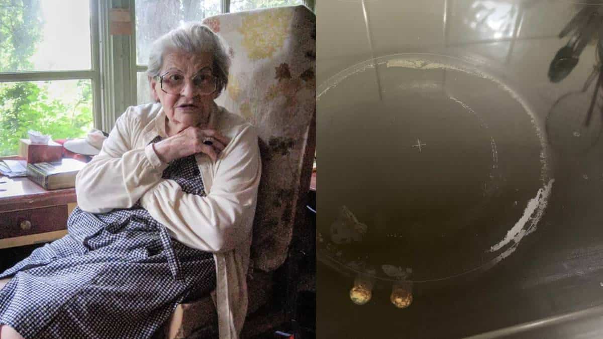Γιατί η γιαγιά ξέρει: Το πανούργο κόλπο της που θα κάνει την κεραμική σας εστία να λαμποκοπά