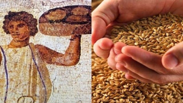 Λέξη άγνωστη για εκείνους – Ο λόγος που οι Αρχαίοι Έλληνες δεν έτρωγαν ποτέ ψωμί