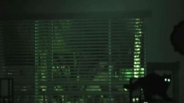 Έβαλε μια κάμερα στην κρεβατοκάμαρα του – Μόλις είδε τι έκανε η γάτα όσο κοιμόταν “κοκκάλωσε”