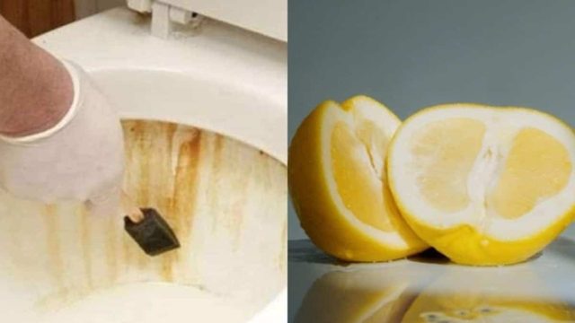 Τουαλέτα φρεσκάδας: Το κόλπο με το λεμόνι και άλλα 2 υλικά για να μυρίζει η λεκάνη σας άνοιξη όλη μέρα