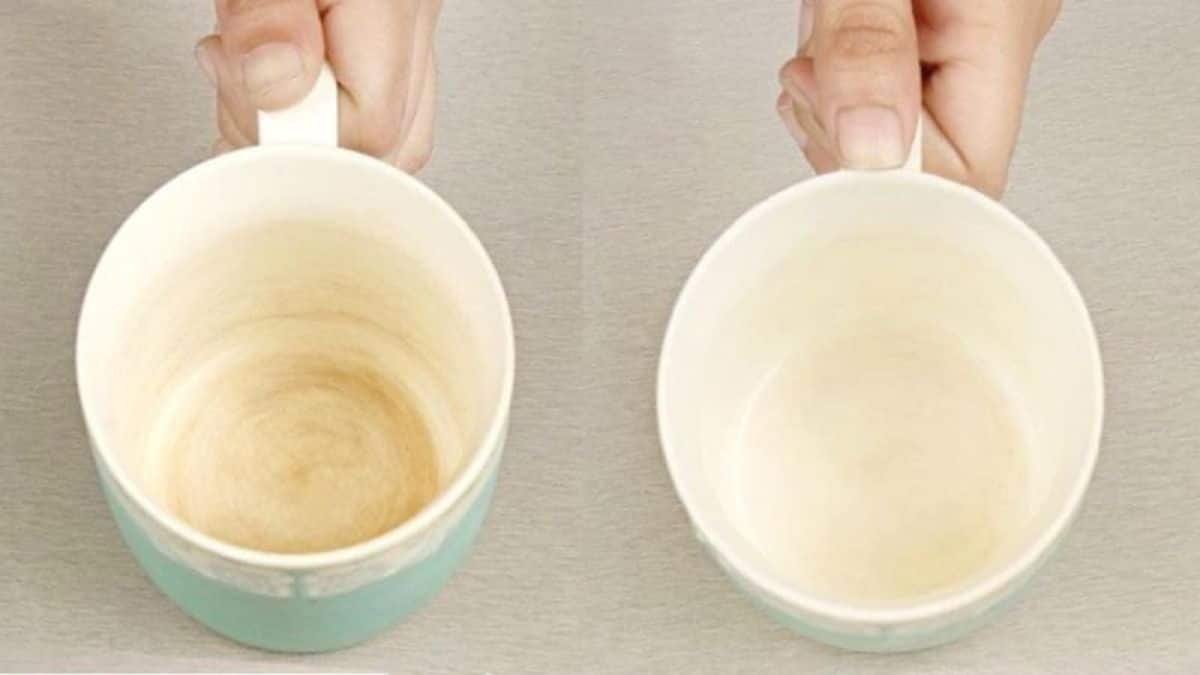 Εξαφανίστε τα αντιαισθητικά σημάδια καφέ από τα φλιτζάνια με ένα υλικό που έχετε στην κουζίνα σας