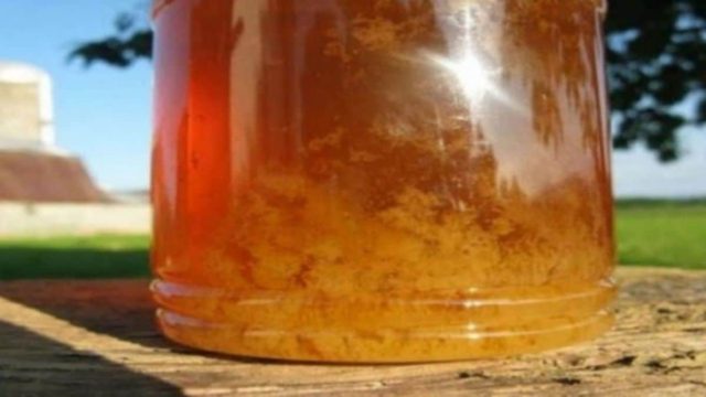 Μεγάλη προσοχή: Τι σημαίνει όταν κρυσταλλώνει το μέλι;