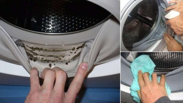 Μούχλα στο πλυντήριο ρούχων: Το φυσικό υλικό που έχουμε στην κουζίνα και την εξαφανίζει – Το κόλπο για να μην εμφανιστεί ξανά