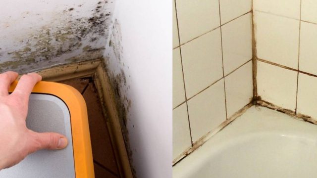Κανένα ίχνος μούχλας στο μπάνιο: Η λύση στο πρόβλημα με αυτό το έξυπνο κόλπο