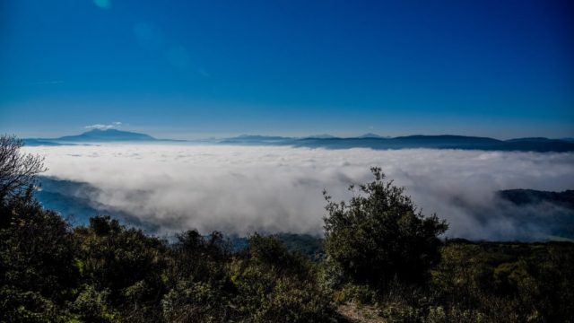 Η φωτογραφία της ημέρας: Καλημέρα από τα ομιχλώδη Γιάννενα