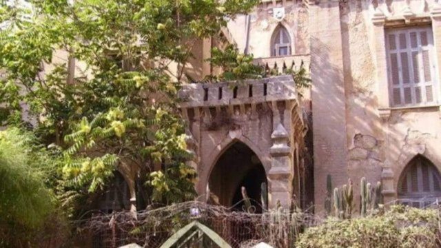 Αδιανόητη φρίκη στο Φάληρο: Βρέθηκε και εξαφανίστηκε ανθρώπινος πλακούντας σε μπολ για γάτες (photo)