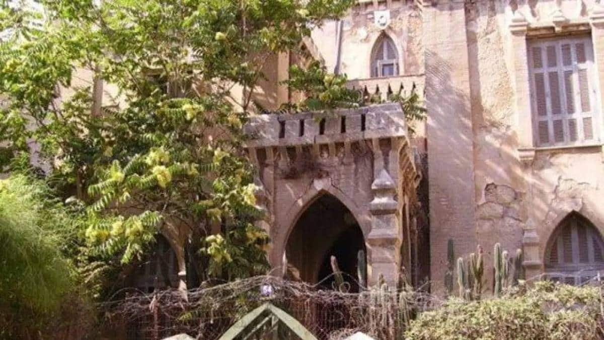 Αδιανόητη φρίκη στο Φάληρο: Βρέθηκε και εξαφανίστηκε ανθρώπινος πλακούντας σε μπολ για γάτες (photo)