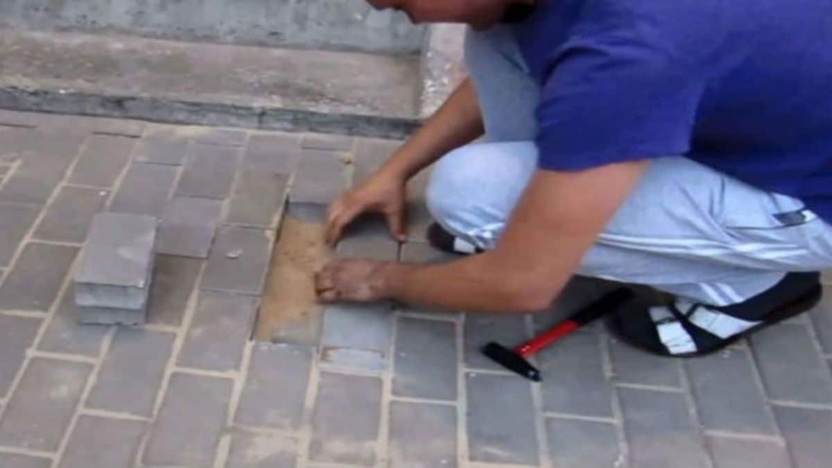 Ένας άνδρας άκουσε κλάματα να βγαίνουν από το έδαφος, ξεκόλλησε μερικά τούβλα από το πεζοδρόμιο και… αντίκρισε κάτι απίστευτο