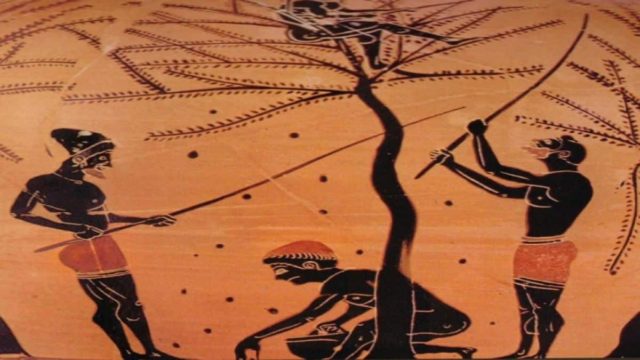 «Βάλσαμο» ομορφιάς το ελαιόλαδο για τους Αρχαίους Έλληνες – Μόλις δείτε πως το χρησιμοποιούσαν, θα τρέξετε να το κάνετε!