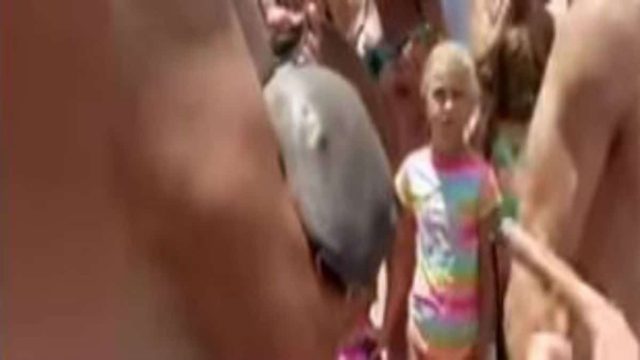 33χρονος κολυμπούσε αμέριμνος όταν ξαφνικά του επιτέθηκε ένας καρχαρίας – Αυτό που ακολούθησε θα σας σοκάρει