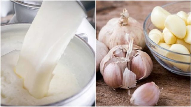 Ζεσταίνει λίγο γάλα σε μια κατσαρόλα και πετάει μέσα μια σκελίδα σκόρδο – Ο λόγος είναι τρομερός