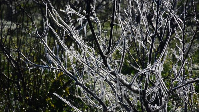 «Μαρτύριο» μέχρι το καλοκαίρι από τα Μερομήνια: «Ακόμη κι όταν έρθει η ώρα να αποχαιρετήσουμε τον χειμώνα ο καιρός…»
