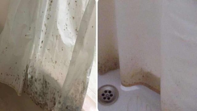 «Σβήνει» τους λεκέδες σε χρόνο μηδέν: Παρελθόν η μούχλα στις κουρτίνες του μπάνιου με 2 σπιτικά υλικά