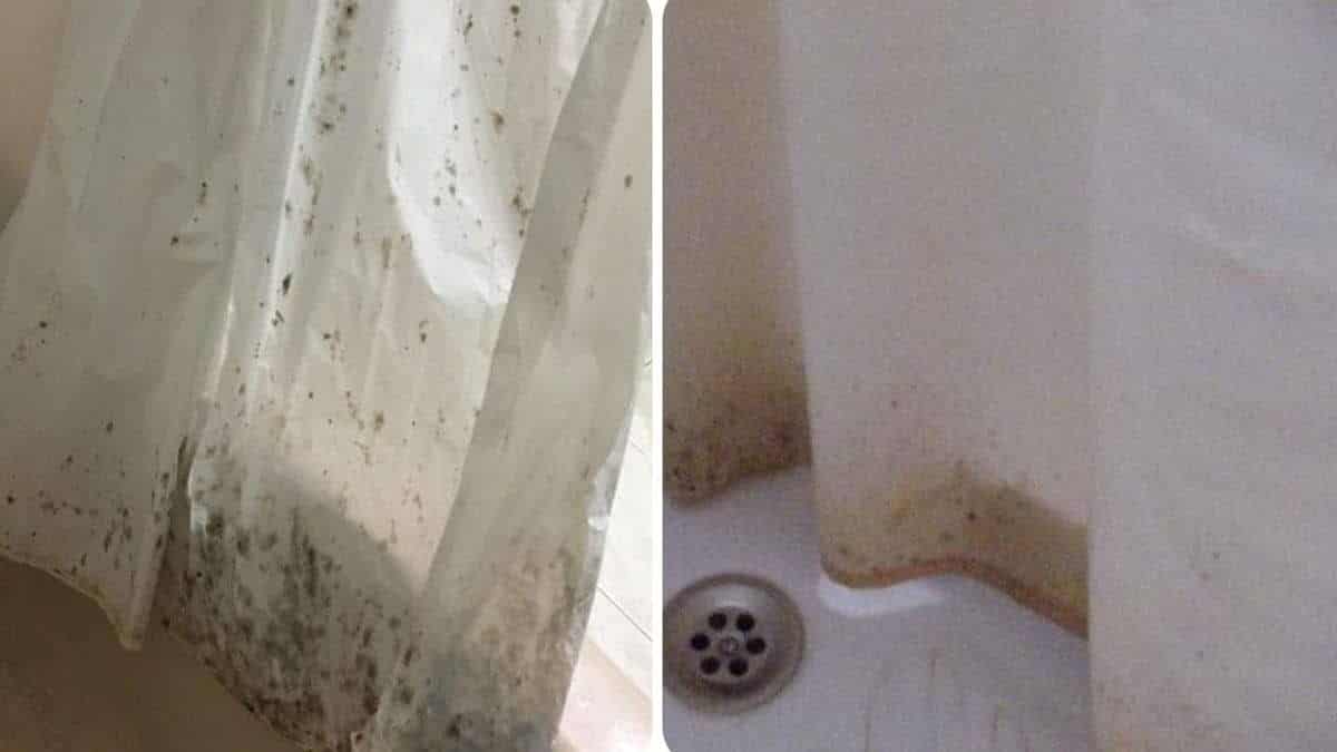 «Σβήνει» τους λεκέδες σε χρόνο μηδέν: Παρελθόν η μούχλα στις κουρτίνες του μπάνιου με 2 σπιτικά υλικά