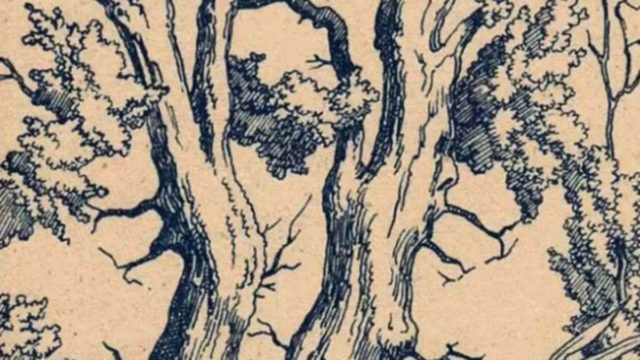 Οπτική ψευδαίσθηση: Κανείς δε μπορεί να βρει τα 3 κρυμμένα πρόσωπα σε 15 δευτερόλεπτα!