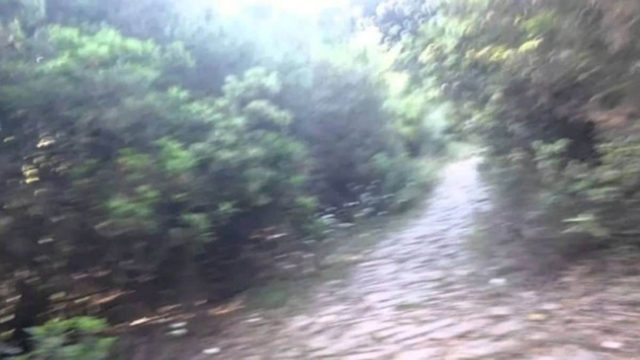 Ανατριχιαστική φωτογραφία: Εμφανίστηκαν άγγελοι στο Άγιο Όρος!
