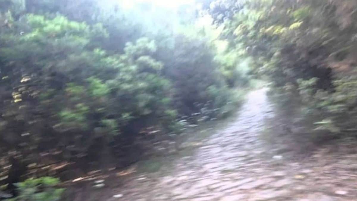 Ανατριχιαστική φωτογραφία: Εμφανίστηκαν άγγελοι στο Άγιο Όρος!