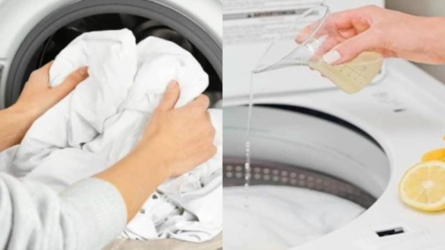Πήρε και έριξε χυμό λεμονιού στο πλυντήριο ρούχων και έλυσε ένα μεγάλο πρόβλημα που βασανίζει πολλούς