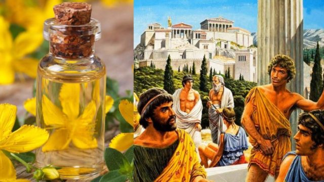 Θεραπεύει έλκος και κατάθλιψη: Το βάλσαμο των Αρχαίων Ελλήνων που κάνει θαύματα μέχρι σήμερα