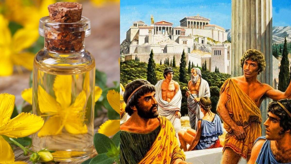 Θεραπεύει έλκος και κατάθλιψη: Το βάλσαμο των Αρχαίων Ελλήνων που κάνει θαύματα μέχρι σήμερα
