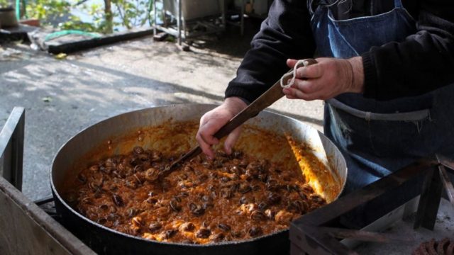 Οι «μαγικές» τροφές των μοναχών του Αγίου Όρους – Το μυστικό για την μακροζωία