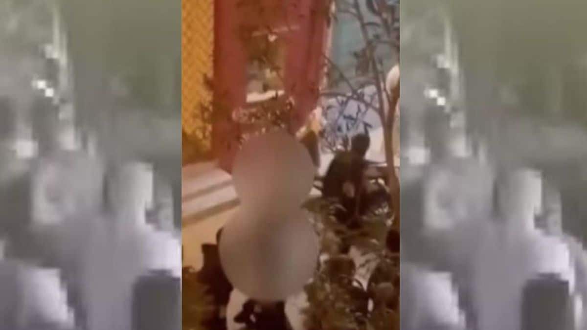 «Άντε γ@@@ μαλ@@@…»: Βίντεο ντοκουμέντο από την επίθεση των νεαρών τραμπούκων στον Βαρουφάκη