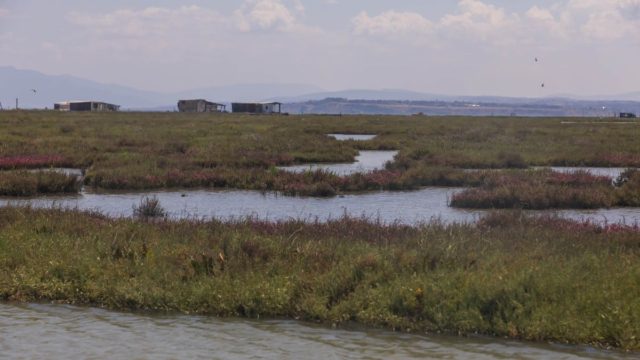 Συναγερμός στον Αξιό ποταμό: Μεγάλη επιχείρηση για την εξαφάνιση 62χρονου – Επιστρατεύονται δύτες και drones