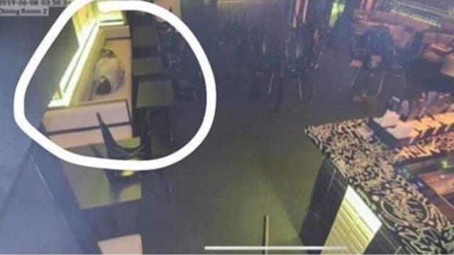 Αφεντικό έβαλε κρυφή κάμερα για να δει τι κάνει υπάλληλος στη δουλειά – Τότε αντίκρισε το αδιανόητο!